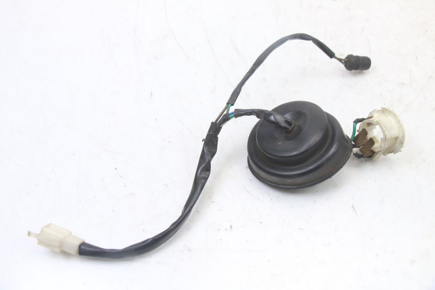 photo de BULB HOLDER TNT MOTOR ROMA 10' 2T 50 (2011 - 2018)