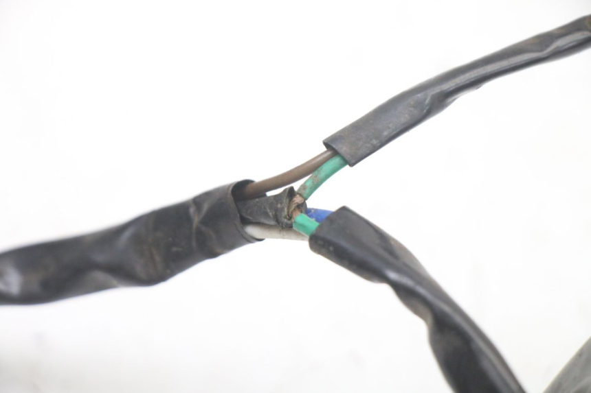photo de BULB HOLDER TNT MOTOR ROMA 10' 2T 50 (2011 - 2018)