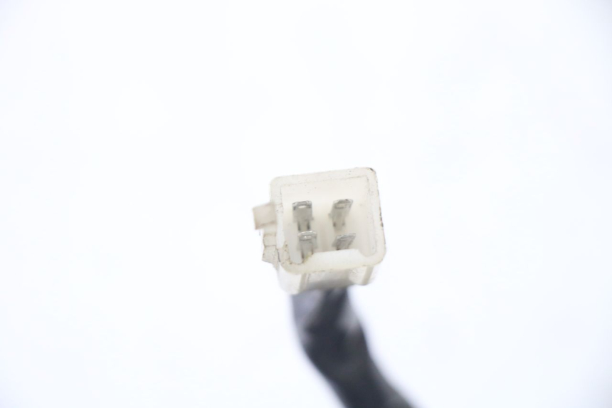 photo de BULB HOLDER TNT MOTOR ROMA 10' 2T 50 (2011 - 2018)