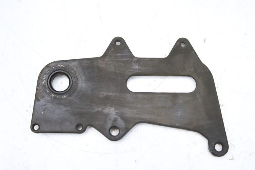 photo de REAR BRAKE CALIPER BRACKET KEEWAY TX 50 (2008 - 2015)