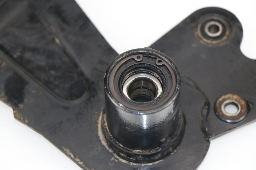 photo de EXHAUST MOUNT GOWINN DOLCE VITA 125 (2007 - 2013)