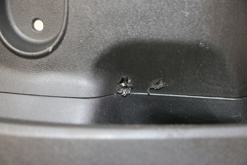 photo de INNER LEGSHIELD MOTRON BREEZY 4T 50 (2021 - 2025)