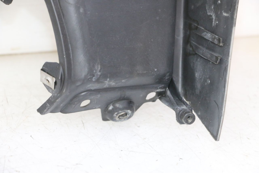 photo de INNER LEGSHIELD PIAGGIO MP3 RL 250 (2007 - 2010)