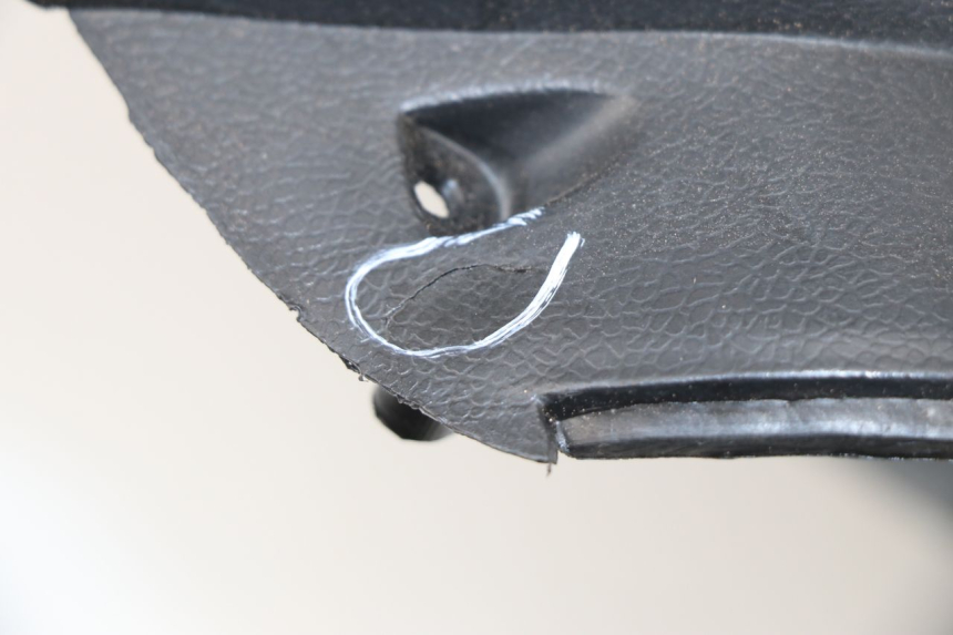 photo de INNER LEGSHIELD YIYING YY T POWER MAX 125 (2006 - 2016)
