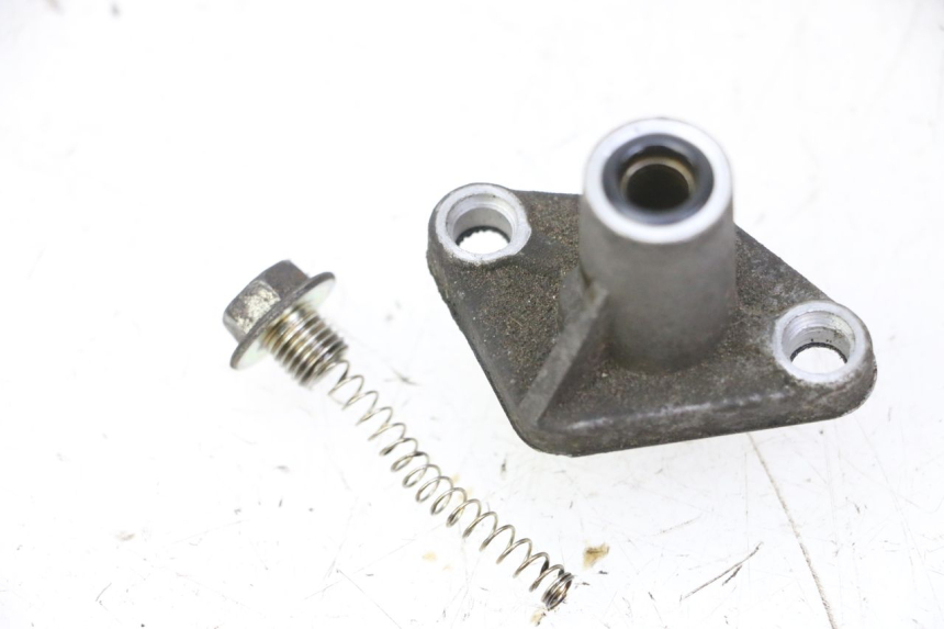 photo de TIMING CHAIN TENSIONER PIAGGIO MP3 RL 250 (2007 - 2010)