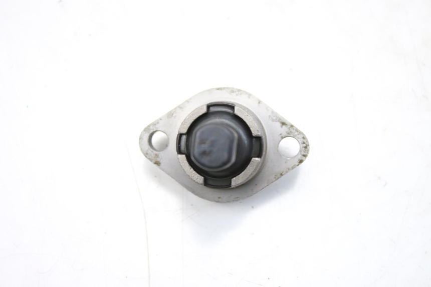 photo de TIMING CHAIN TENSIONER PEUGEOT TWEET 125 (2010 - 2017)