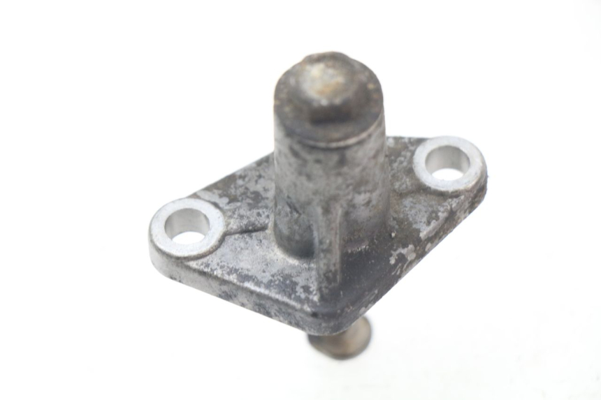 photo de CAM CHAIN TENSIONER PIAGGIO BEVERLY 500 (2003 - 2007)