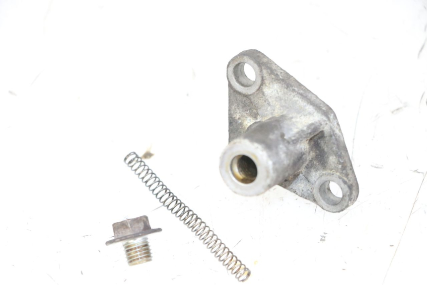 photo de TIMING CHAIN TENSIONER PIAGGIO MP3 125 (2006 - 2014)