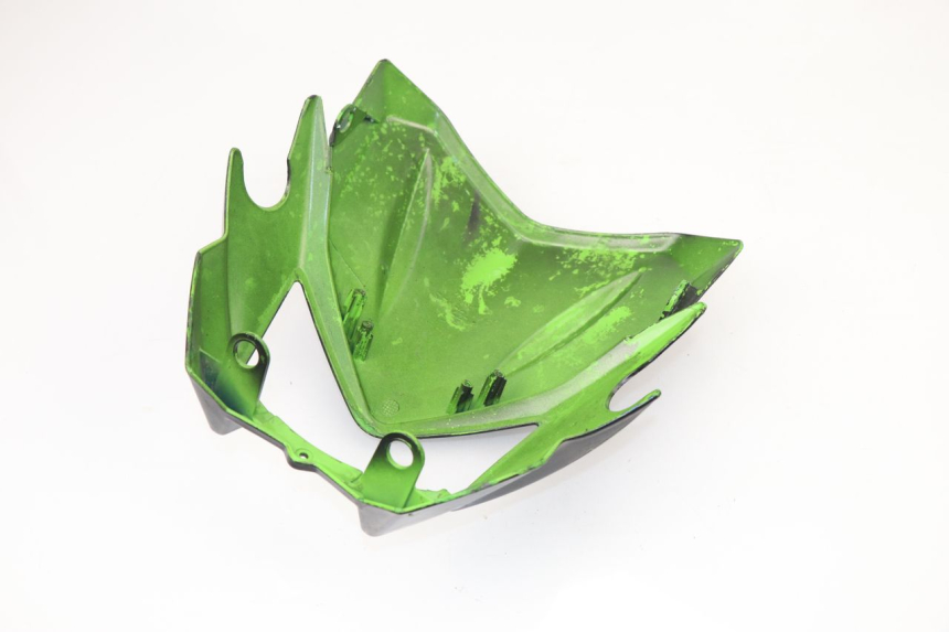 photo de FRONT FAIRING RIEJU SMX PRO 50 (2001 - 2009)