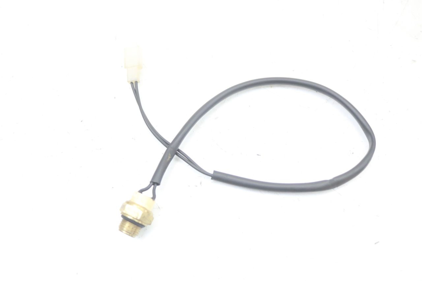 photo de THERMO SWITCH REGAL RAPTOR SPYDER 125 (2010 - 2018) - Main view