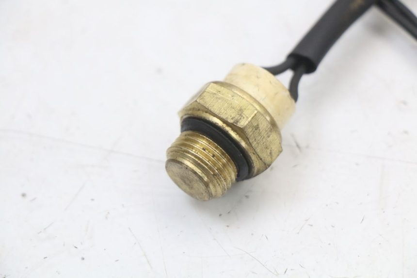 photo de THERMO SWITCH REGAL RAPTOR SPYDER 125 (2010 - 2018) - Component detail
