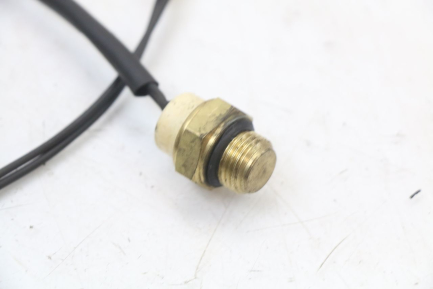 photo de THERMO SWITCH REGAL RAPTOR SPYDER 125 (2010 - 2018) - Alternative perspective