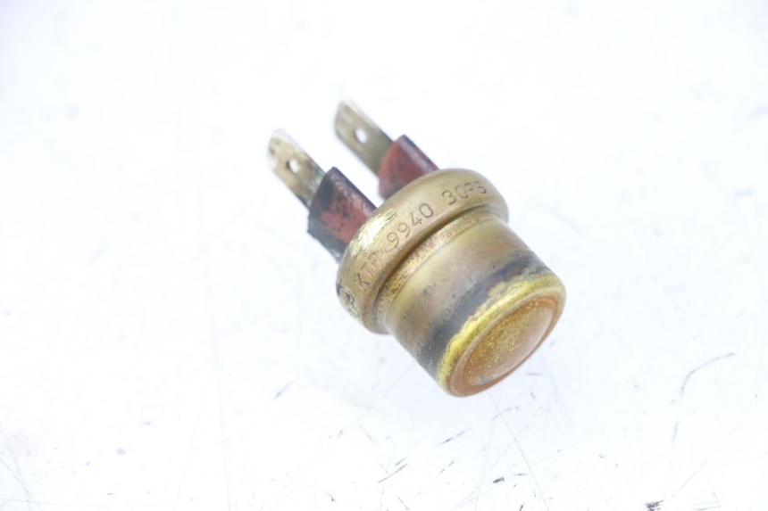 photo de THERMO SWITCH TRIUMPH SPRINT 900 (1995 - 1998)