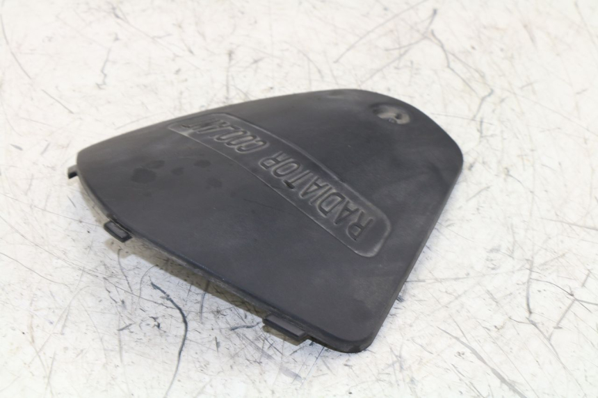 photo de FRONT INSPECTION COVER KYMCO K-XCT 125 (2013 - 2017)