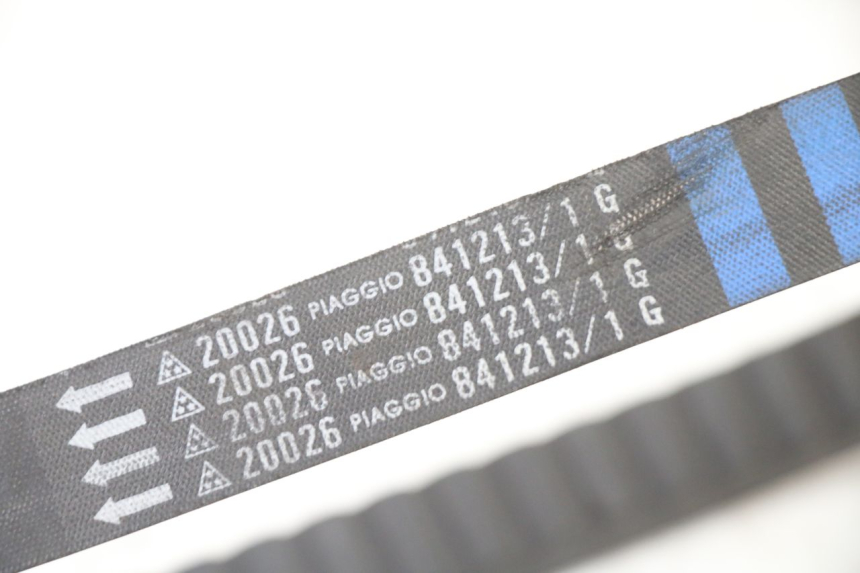 photo de VARIATOR APRILIA ATLANTIC 125 (2003 - 2009)