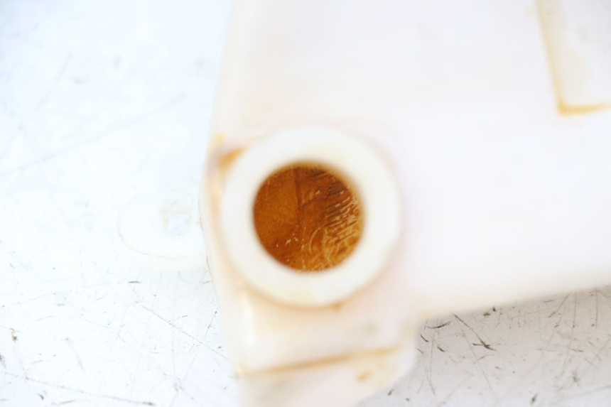 photo de COOLANT EXPANSION BOTTLE TRIUMPH SPRINT 900 (1995 - 1998)