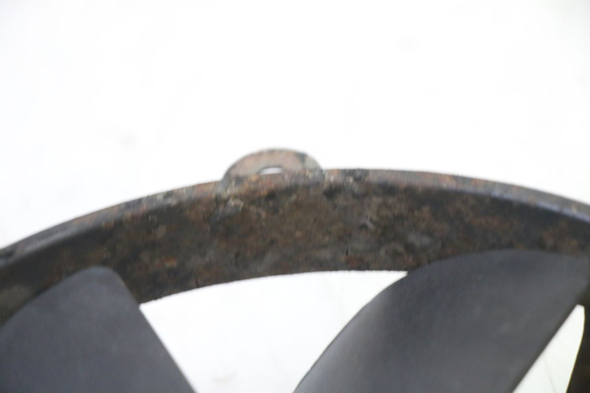 photo de FAN HONDA CBR RR FIREBLADE 900 (1992 - 1994)