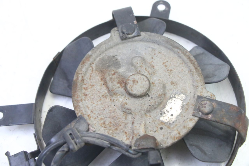 photo de FAN HONDA CBR RR FIREBLADE 900 (1992 - 1994)