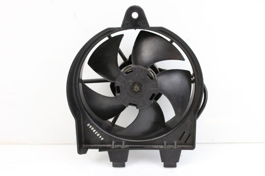photo de FAN BMW F GS K81 850 (2018 - 2023)