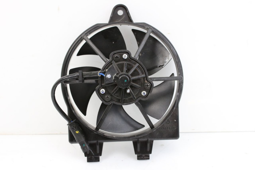 photo de FAN BMW F GS K81 850 (2018 - 2023)