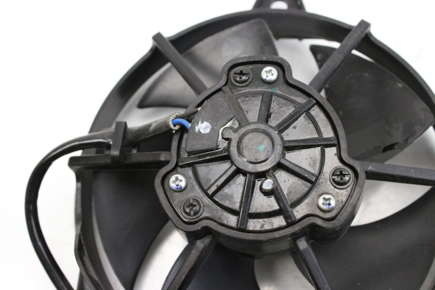 photo de FAN BMW F GS K81 850 (2018 - 2023)