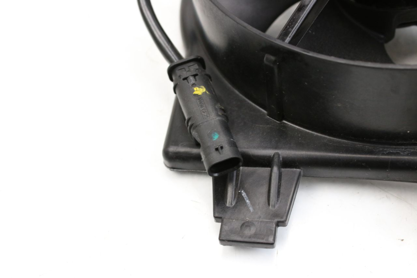 photo de FAN BMW F GS K81 850 (2018 - 2023)