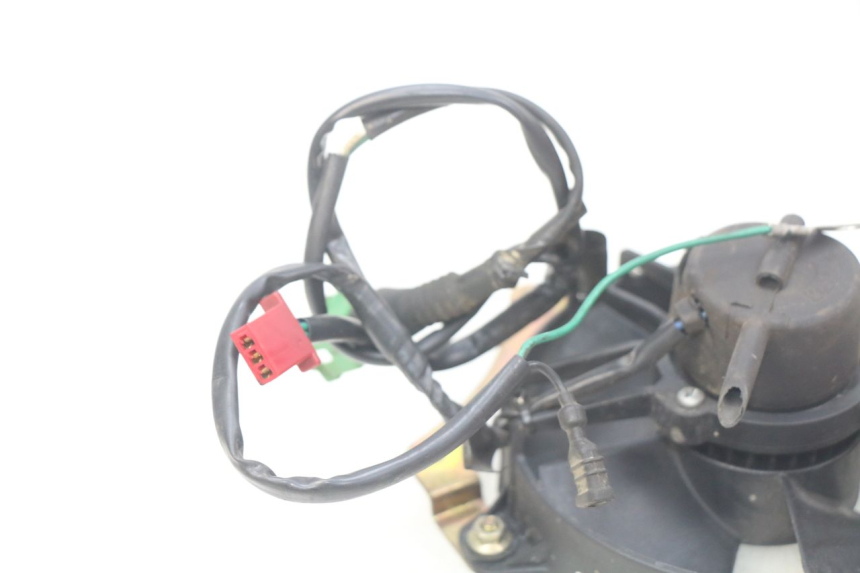 photo de FAN HONDA FES PANTHEON 2T 125 (1998 - 2002)