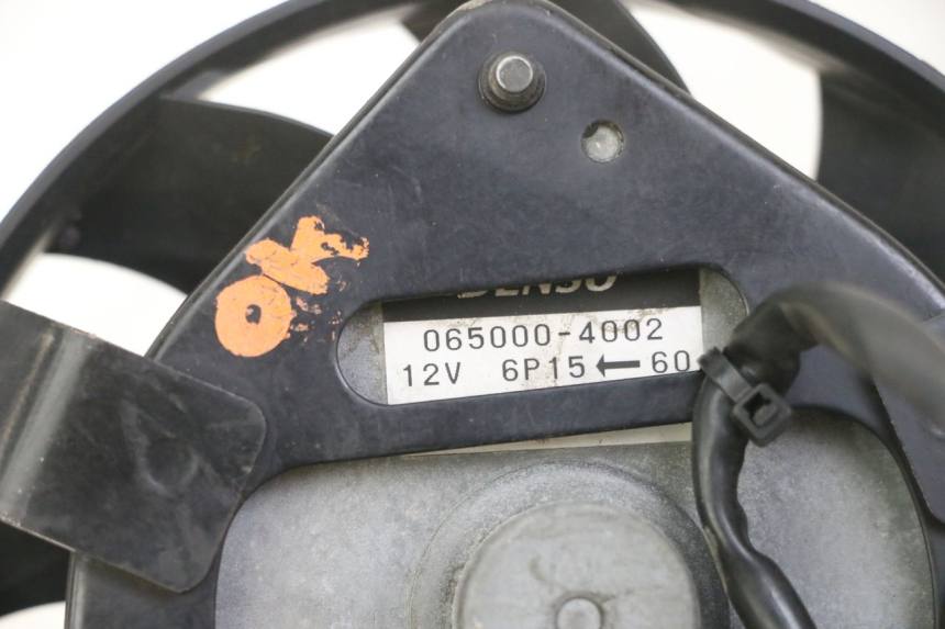 photo de FAN YAMAHA FZ1 FAZER 1000 (2007 - 2009)