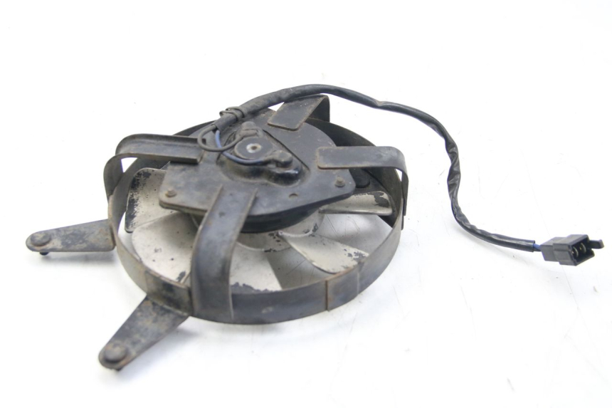 photo de FAN YAMAHA FZS FAZER 600 (2001 - 2003)