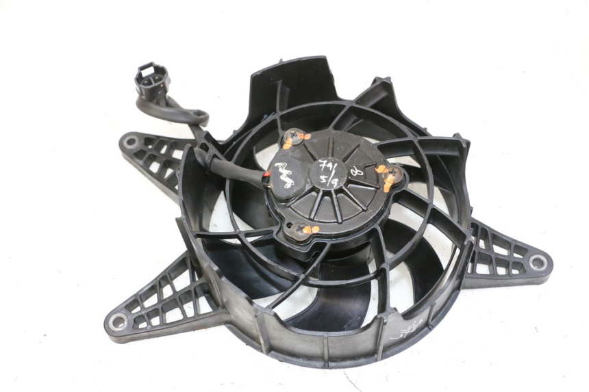 photo de FAN BMW G310 R 310 (2016 - 2020)