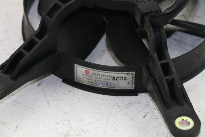 photo de FAN KYMCO GRAND DINK 125 (2002 - 2007)