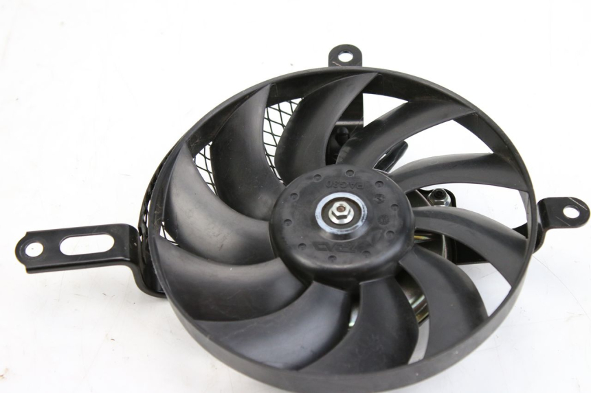 photo de FAN SUZUKI GSX-R GSXR 750 (2011 - 2016)
