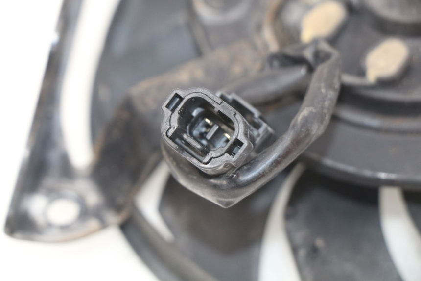 photo de FAN HONDA CBRF CBR-F PC41 600 (2011 - 2013)