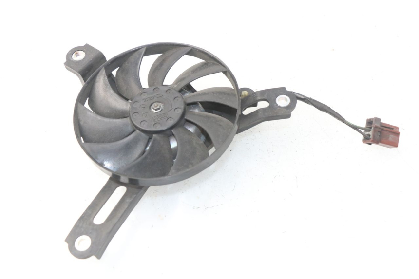 photo de FAN HONDA NSS EX FORZA 250 (2008 - 2009)