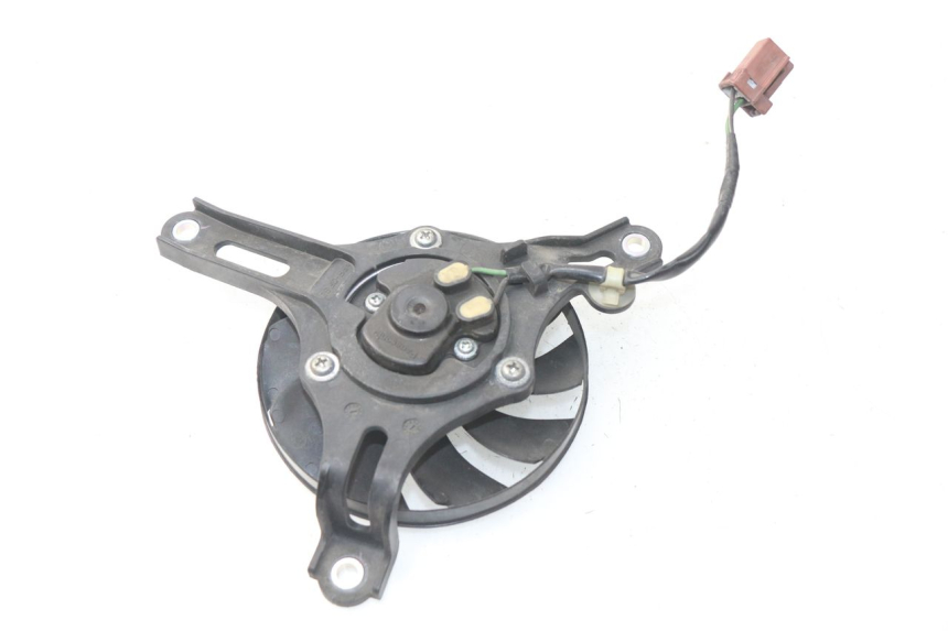 photo de FAN HONDA NSS EX FORZA 250 (2008 - 2009)