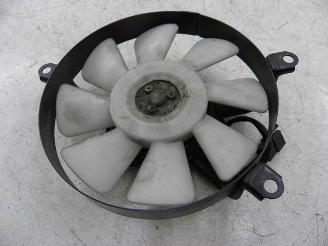photo de FAN KAWASAKI ZZR 600 (1995 - 2004)