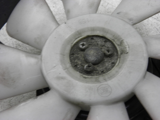 photo de FAN KAWASAKI ZZR 600 (1995 - 2004)