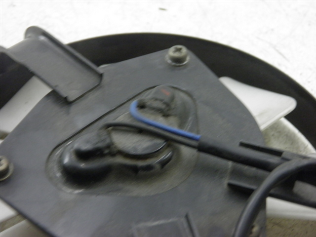 photo de FAN KAWASAKI ZZR 600 (1995 - 2004)