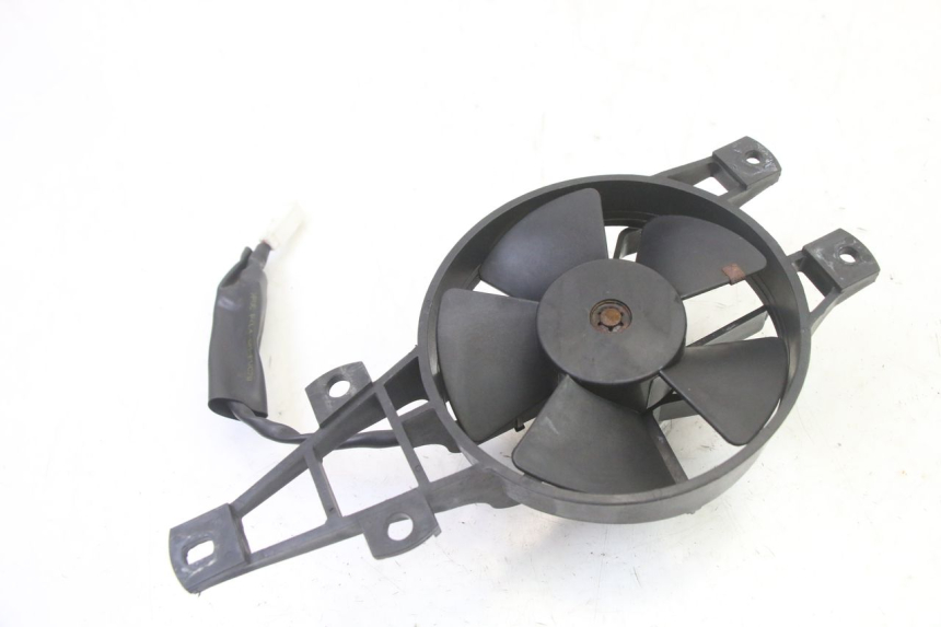 photo de FAN PIAGGIO MP3 RL 250 (2007 - 2010)