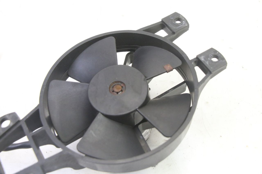 photo de FAN PIAGGIO MP3 RL 250 (2007 - 2010)