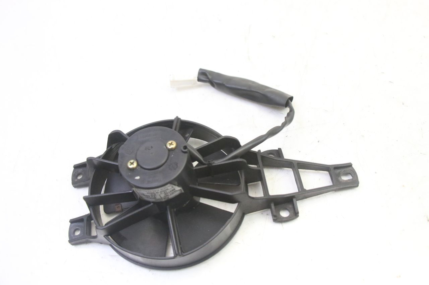 photo de FAN PIAGGIO MP3 RL 250 (2007 - 2010)
