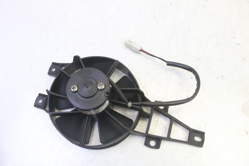 photo de FAN PIAGGIO MP3 RL 250 (2007 - 2010)