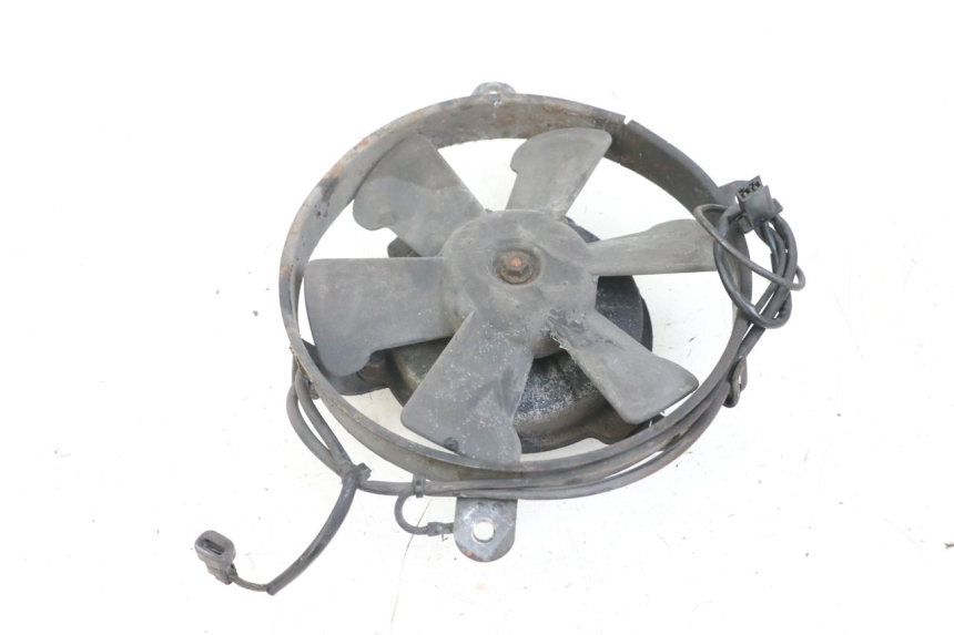 photo de FAN HONDA NTV DEAUVILLE 650 (1998 - 2001)
