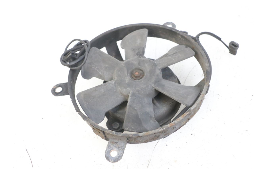 photo de FAN HONDA NTV DEAUVILLE 650 (1998 - 2001)