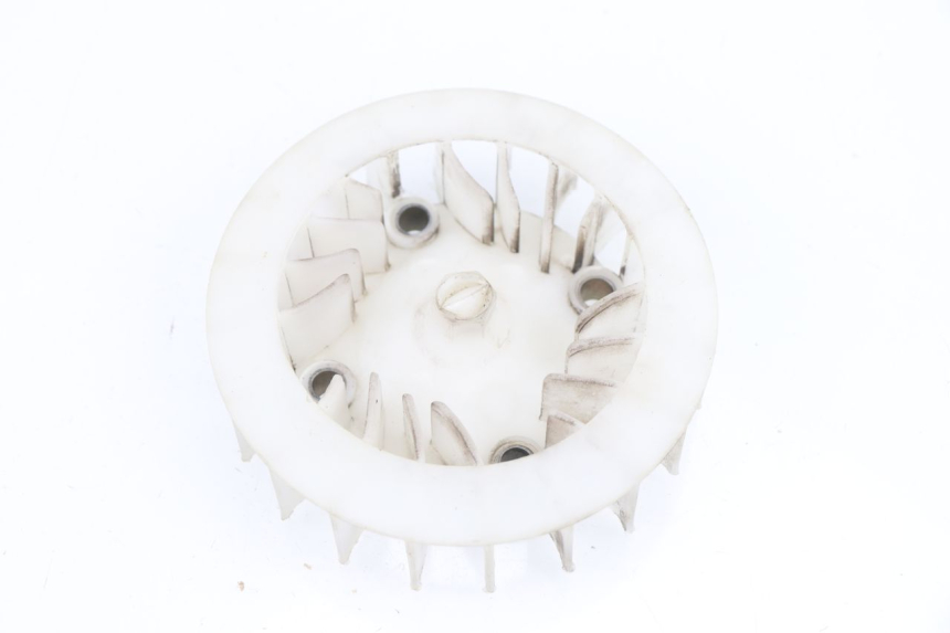 photo de FAN SAMPO LY50QT-21 50 (2009 - 2014)