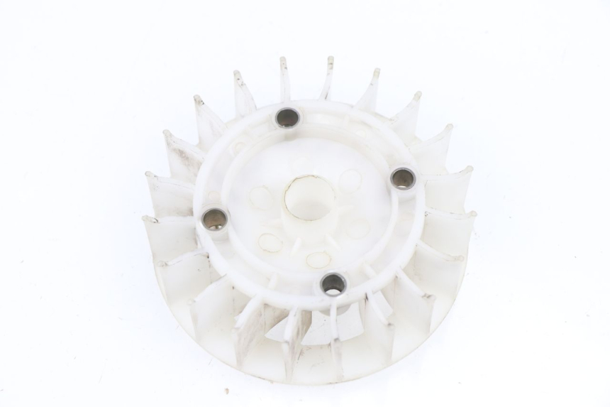 photo de FAN SAMPO LY50QT-21 50 (2009 - 2014)