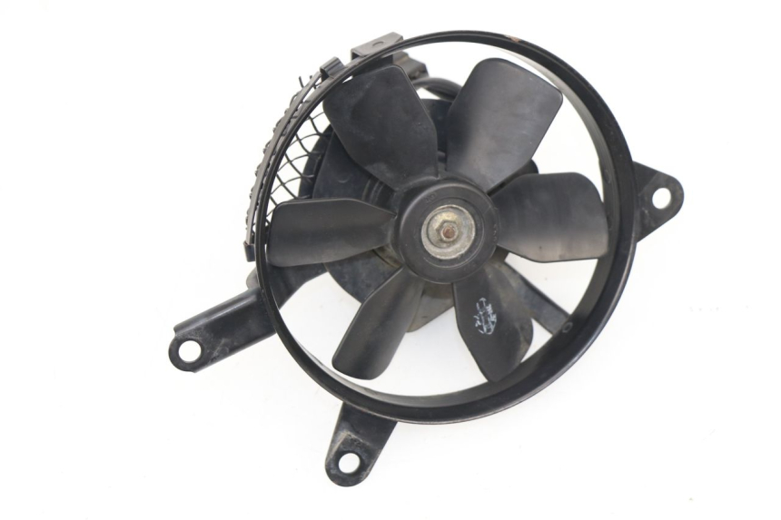 photo de FAN SUZUKI SV N 650 (1999 - 2002)