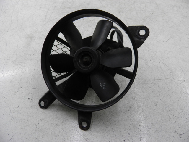 photo de FAN SUZUKI SV S 650 (1999 - 2002)