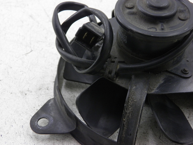photo de FAN SUZUKI SV S 650 (1999 - 2002)