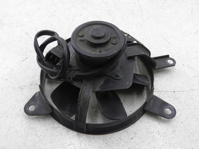 photo de FAN SUZUKI SV S 650 (1999 - 2002)